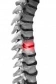 Chiropractors in Manassas