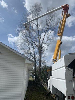 61' bucket truck service available for those dead trees