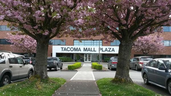 We are located in the Tacoma Mall Plaza on the corner of S. Pine St & S 42nd St. Just south of the Evergreen Station Post Office.