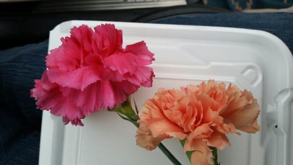 Because it was mother's day, they were giving out flowers!  What a nice touch! !!