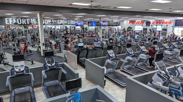 Cardio, weight and peak performance zone