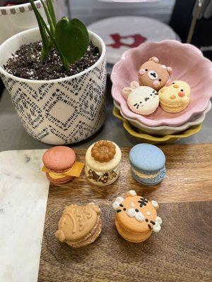 Cute Animal Macarons. One is a cheddar macaron and it's delicious.