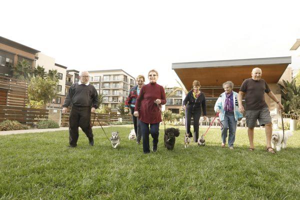 Members walking their dogs at Fountaiview at Gonda