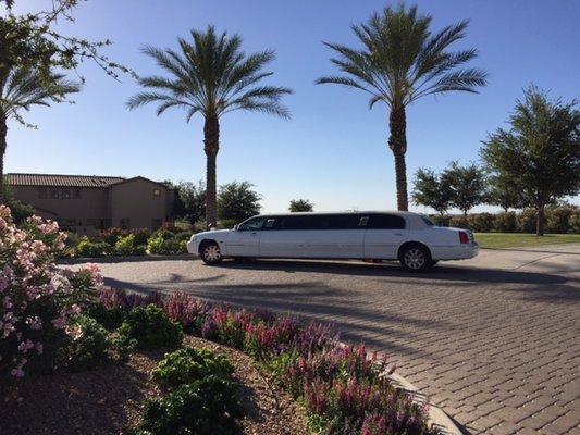 call us for a limo ryde 480-665-8508