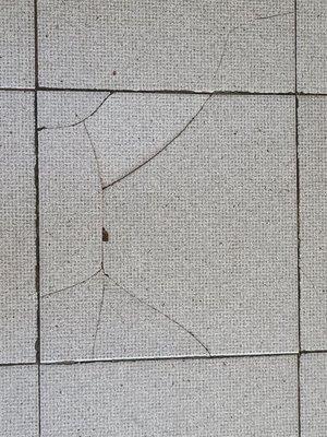 Floor tiles are what they're cracked up to be.