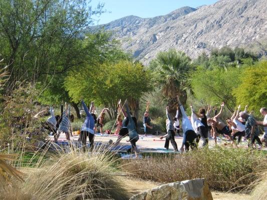 Free yoga in Ruth Hardy Park on Saturday mornings