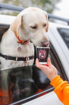 7 Brew Coffee Pup Cup