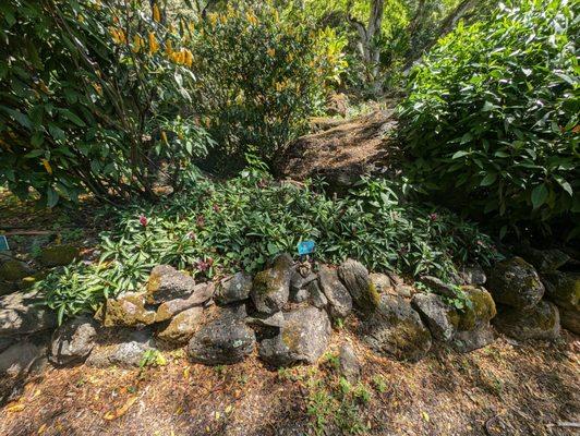 Oahu Nature Tours