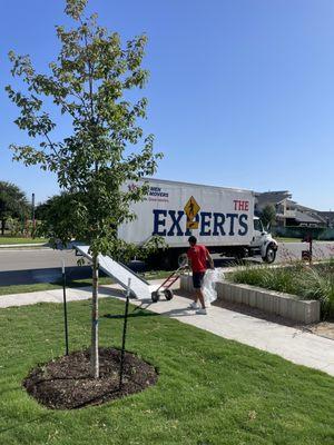 Crew member unloading my items