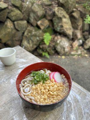 UDON: in a fish based soy sauce broth served w/green onions, fish cake tempura bits (taste like instant udon w/toppings) | $9.95