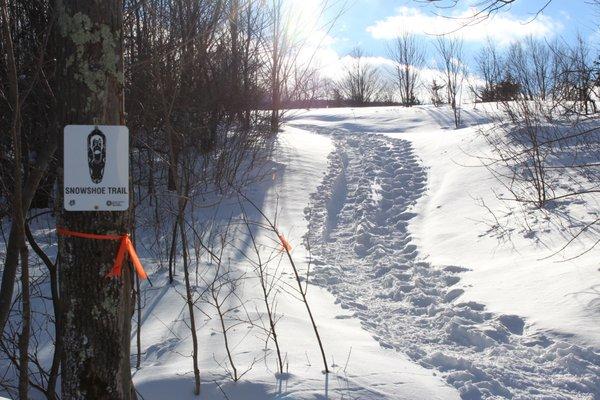 Snowshoe trail