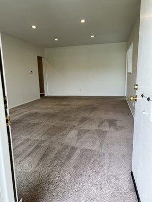 Clean and fresh carpets