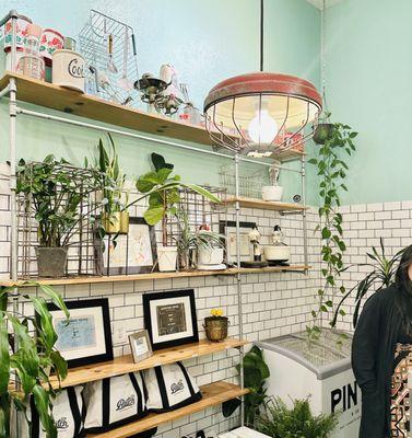 Live plant  on shelves in front of tile backsplash