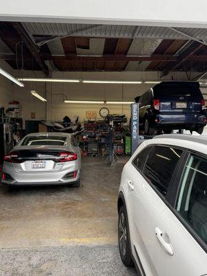 Busy, but you know that means a lot of people come to them for any body work