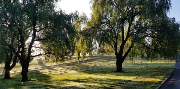 Vacaville Elmira Cemetery