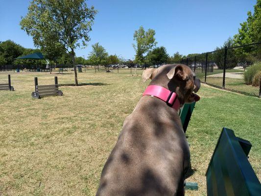 Very nice, relaxing park on a weekday morning.