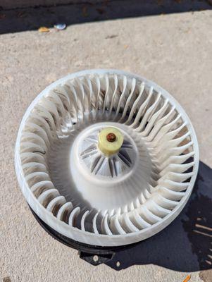 This is my blower after I cleaned at at the carwash for $2.