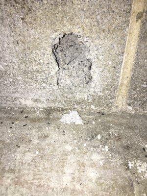 Hole in the wall where rodents came in.