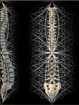 The Sacred geometry of your spine