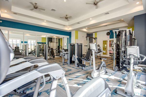 Vibrant Fitness Center with Free Weights