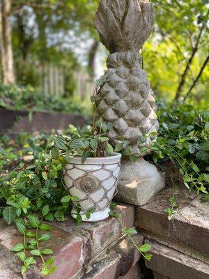 Kew Pots from London's Royal Botanicial Gardens, Kew