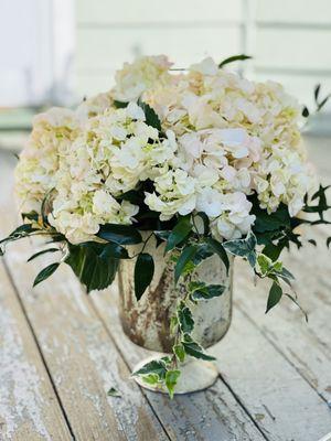 Classic Hydrangeas