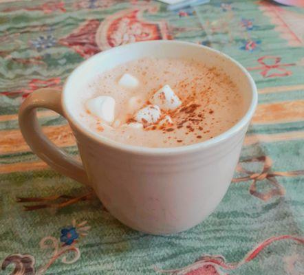 Hot Chocolate, with Cocoa and Marshmellows!