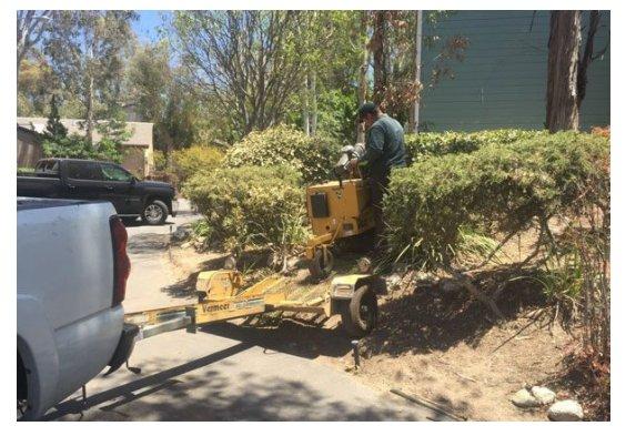 JLG Tree Service