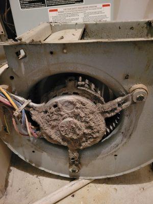 Debris covered blower motor.