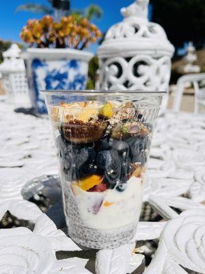 Fig peach blueberry coconut pistachio hemp seed chia pudding yogurt parfait