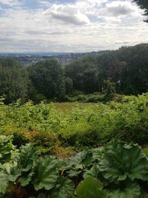 MacLean Park from the lookout of the Meadow.