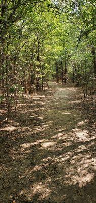 Nice shady hiking.