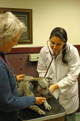 Dr. Heather Jarrett examines a patient