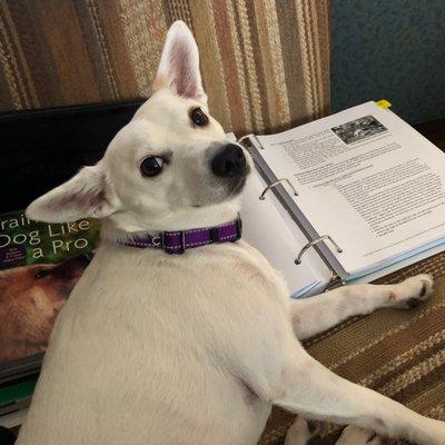 Miss Betty White approves of the CATCH study materials.