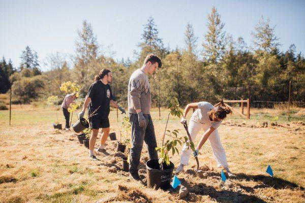 Working Regenerative Organic Farm