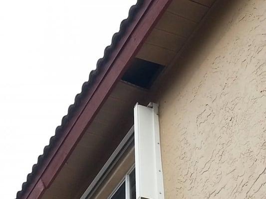 Missing soffit section--Pest Intrusion!