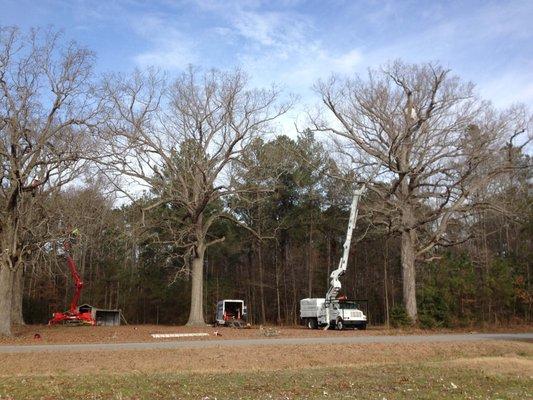 Tree Pruning