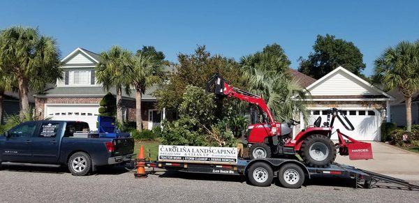 carolina landscaping and clean up