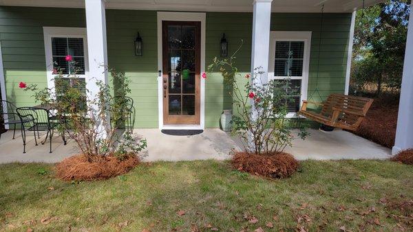 Roses and Pine Straw.