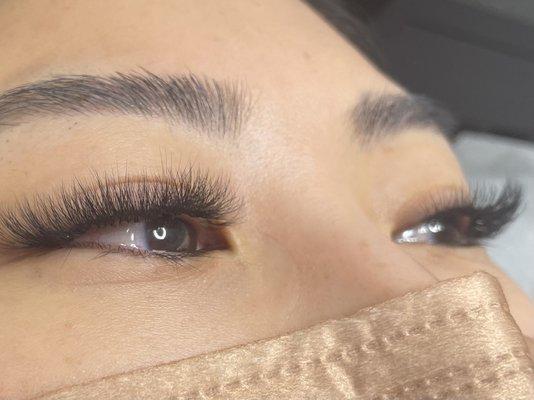 Lash by joy