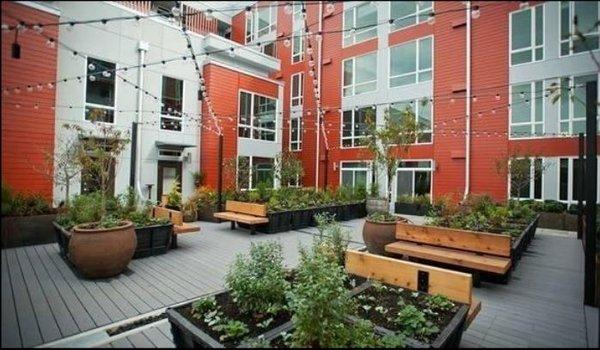 Resident Courtyard