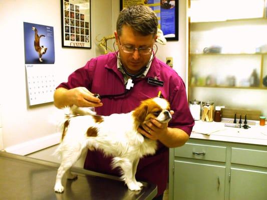 Dr. Alex Weber -Veterinarian at Beach Park Animal Clinic Tampa FL