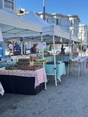 North Beach Farmers Market