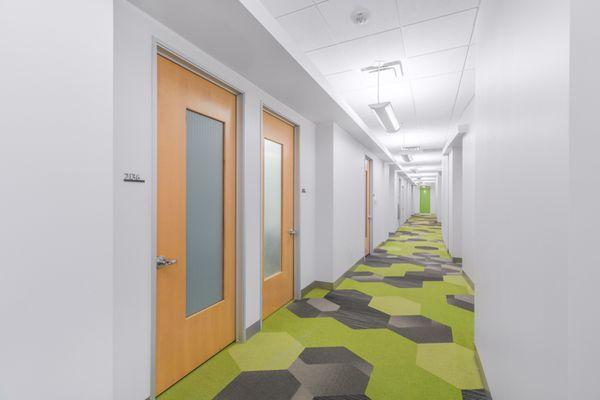 Vision Offices Green Hallway