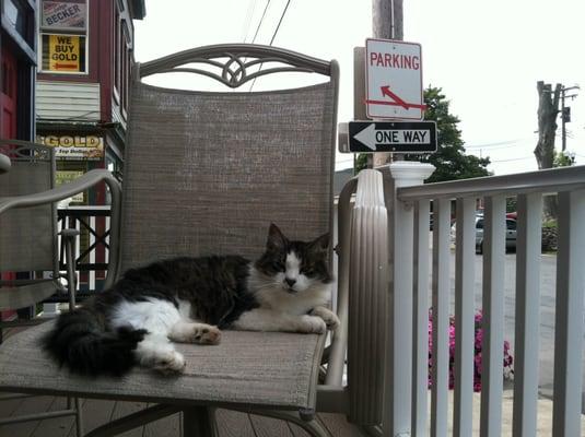 "Lucky" the mayor of Rail Road Avenue, who was recently kidnapped by a kid and returned after three days in captivity.