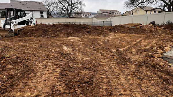 Sculpting the back yard for dry creek bed and small mounding for tree plantings and walkway.