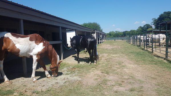 The cuties post-ride - more pics to follow