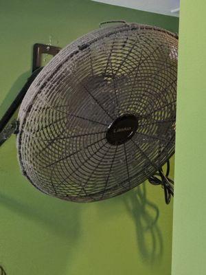 The dirtiest fan known to man kind