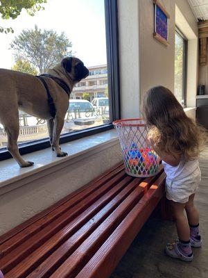 The Watcher of the Shop, Bob. Great with kids!