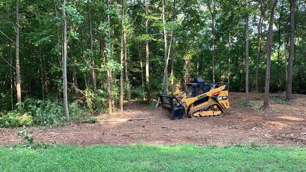 Forestry mulching for property management